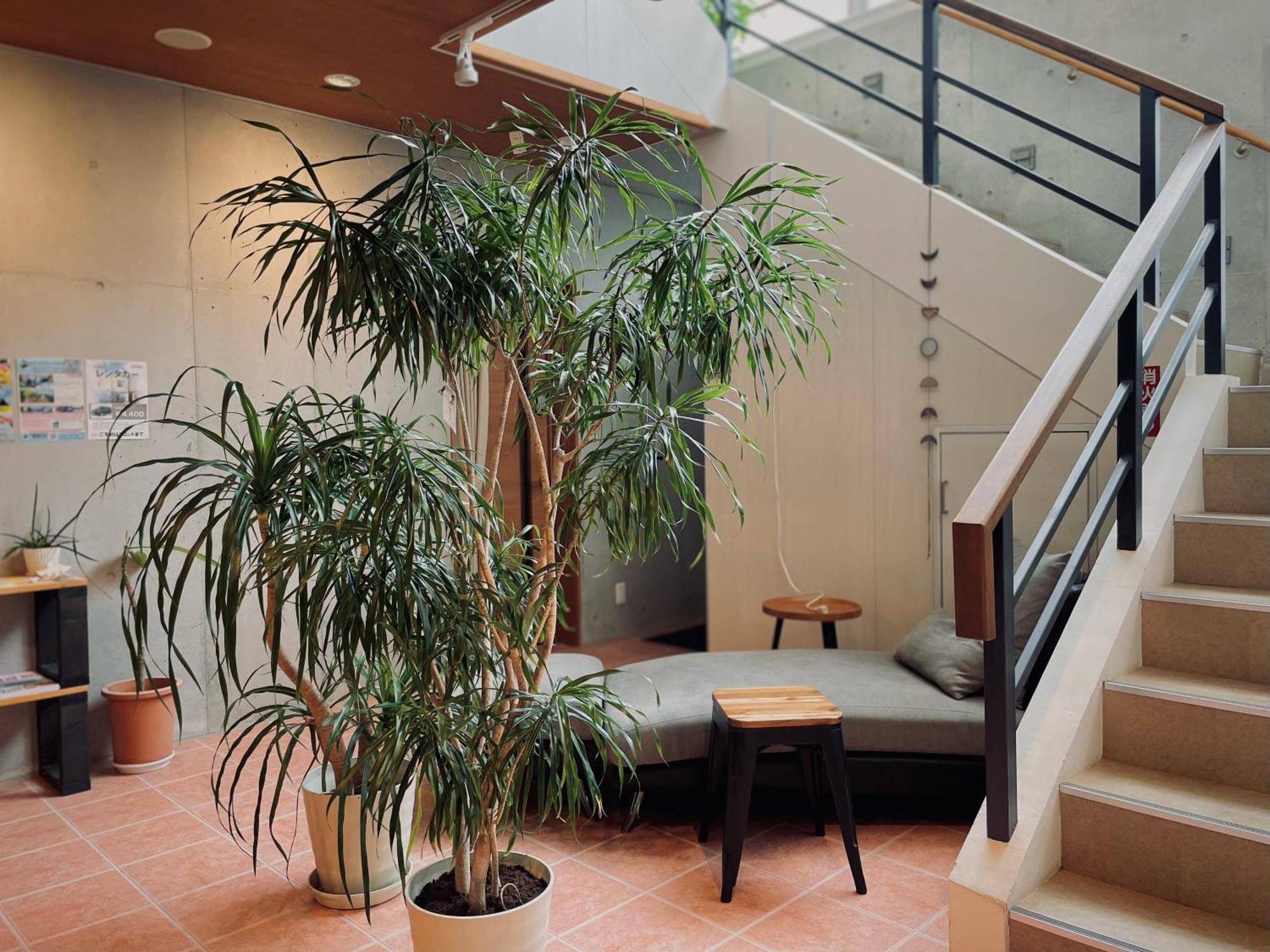 Hostel Sunterrace Ishigaki Ishigaki  외부 사진